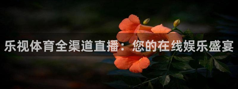 乐视体育全渠道直播：您的在线娱乐盛宴