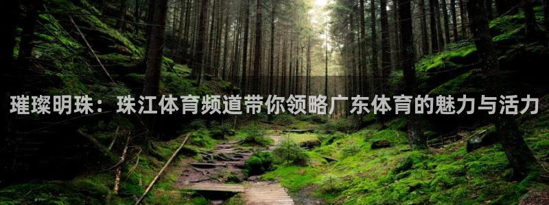 璀璨明珠：珠江体育频道带你领略广东体育的魅力与活力